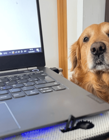 A golden retriever sitting beside a laptop with a cup of coffee, looking at the camera while Megan plans a launch email schedule